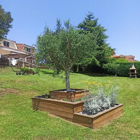 Puerta De Χιχόν